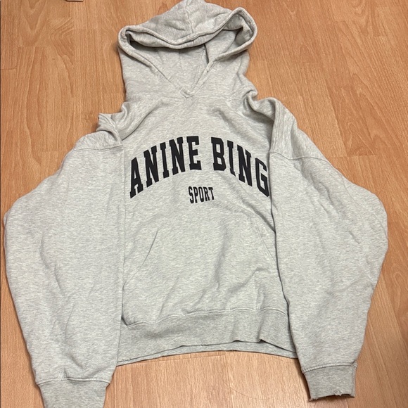 Anine Bing Sport Light Gray Hoodie - Picture 1 of 3